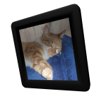 A True Friend in a Frame