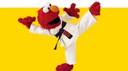 Karate Ninja Experts Roblox group icon