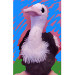 The Ostrich Fan Club.