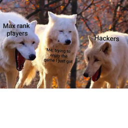 have fun