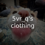 5vr_q’s clothing