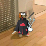 SkinnyDog