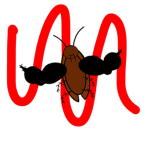 Roaches Associated
