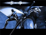 The Shadow Ninja  Warriors