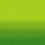 RZKU