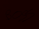 Pro_boss