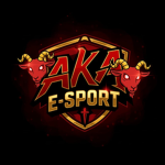 Aka Comunnity