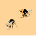 Sweet bees group!