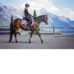 Mountain Ridge Equestrian