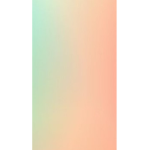 다단계