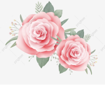 Sxmply Rxses