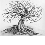 The mysterious tree