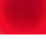 The_best0215