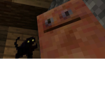 CH4NG4$