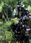 Special Forces Unit Of Division
