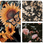 ~ The Floral Boutique ~
