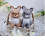 Nomel friends