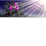 Roblox Guys And Robux Guys