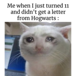 Dank awesome memes