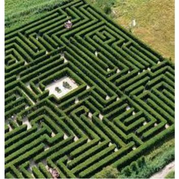 maze