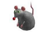 RATS ARE POG