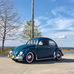 VW Bugs Studio