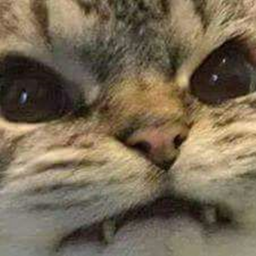 سيف البسة