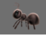 Ant hill house