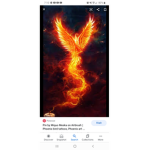 The Black Phoenix's