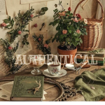 AUTHENTICAL
