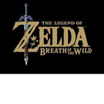 Zelda BOTWG