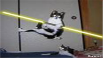 star wars cat. Roblox decal