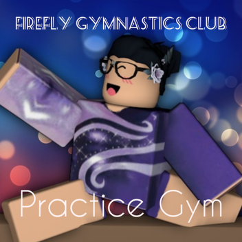 Firefly Gymnastics Club | Practice Gym