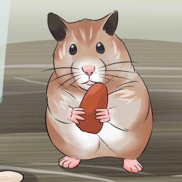 Find the Hamster!