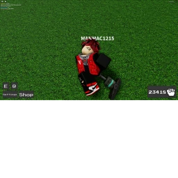 pls visit icon
