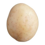 -- Potato Kingdom --