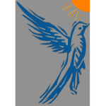 Air Cyprus