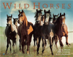 ΩWild horsesΩ