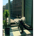 Wich craft Club