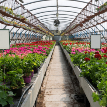 Floriculture