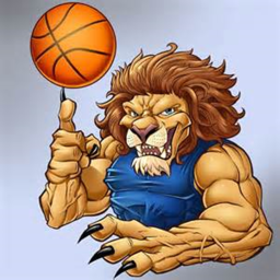 Lions Travel-Team Court/Practice 2017-2018