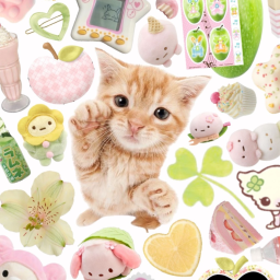 ~kitty~ Uhm group thing so some-