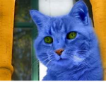 Pochikat