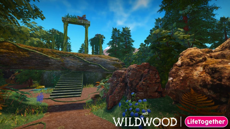 🌲 WILDWOOD - QUEST 3