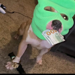 Toneglock's Clothing Shack