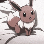 Pokémon clothing store!