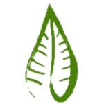 Clan of Yujleda