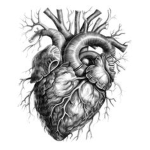 Sacred heartz