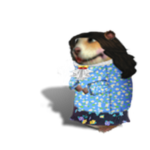 Ch0maiden