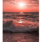 light blue oceans